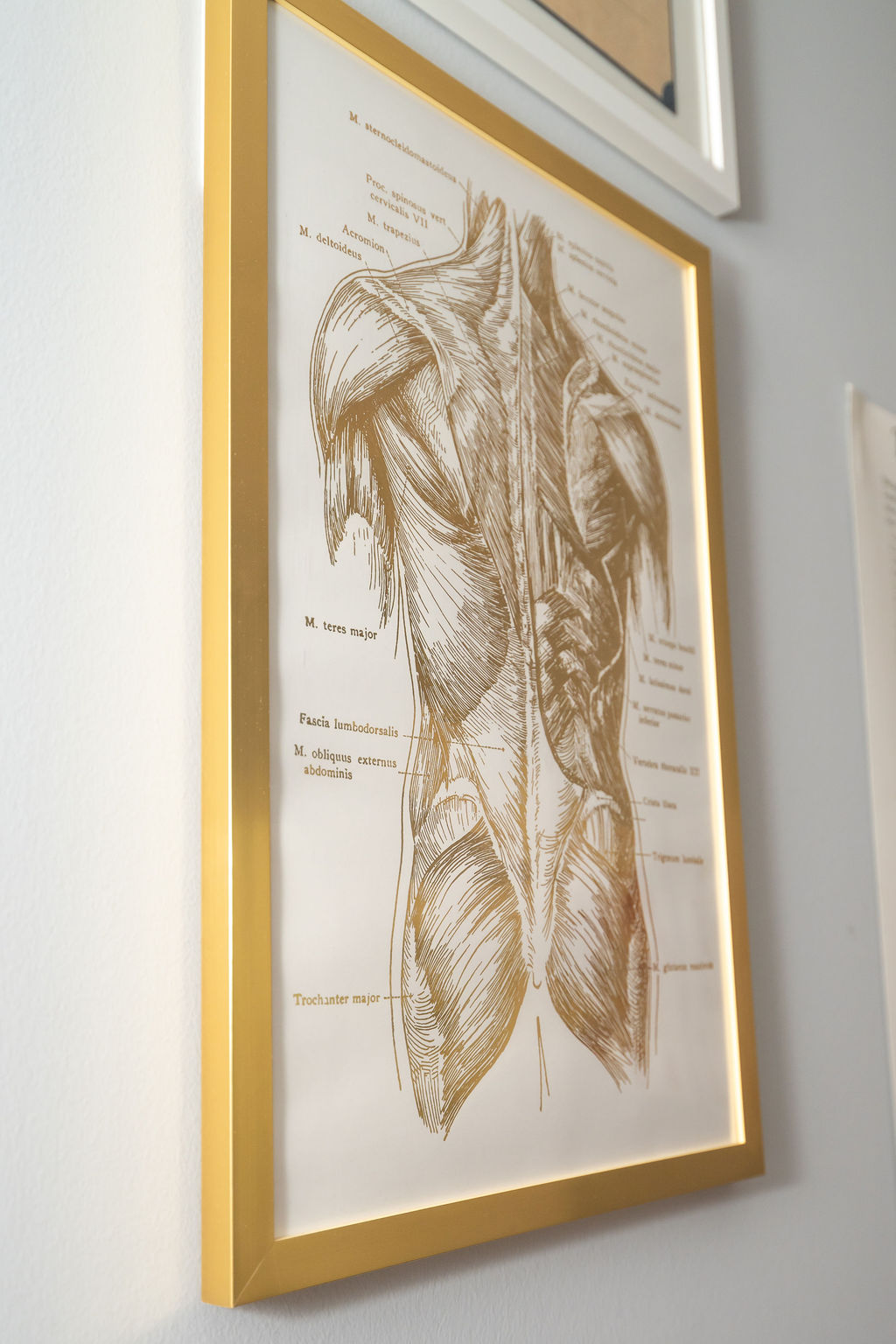 Clinical massage therapy